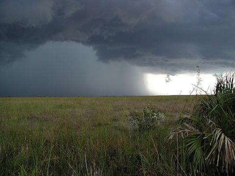 Everglades summer thunderstorm