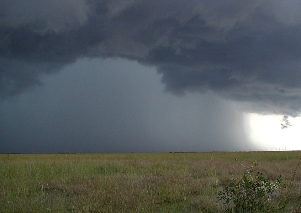 Everglades summer thunderstorm