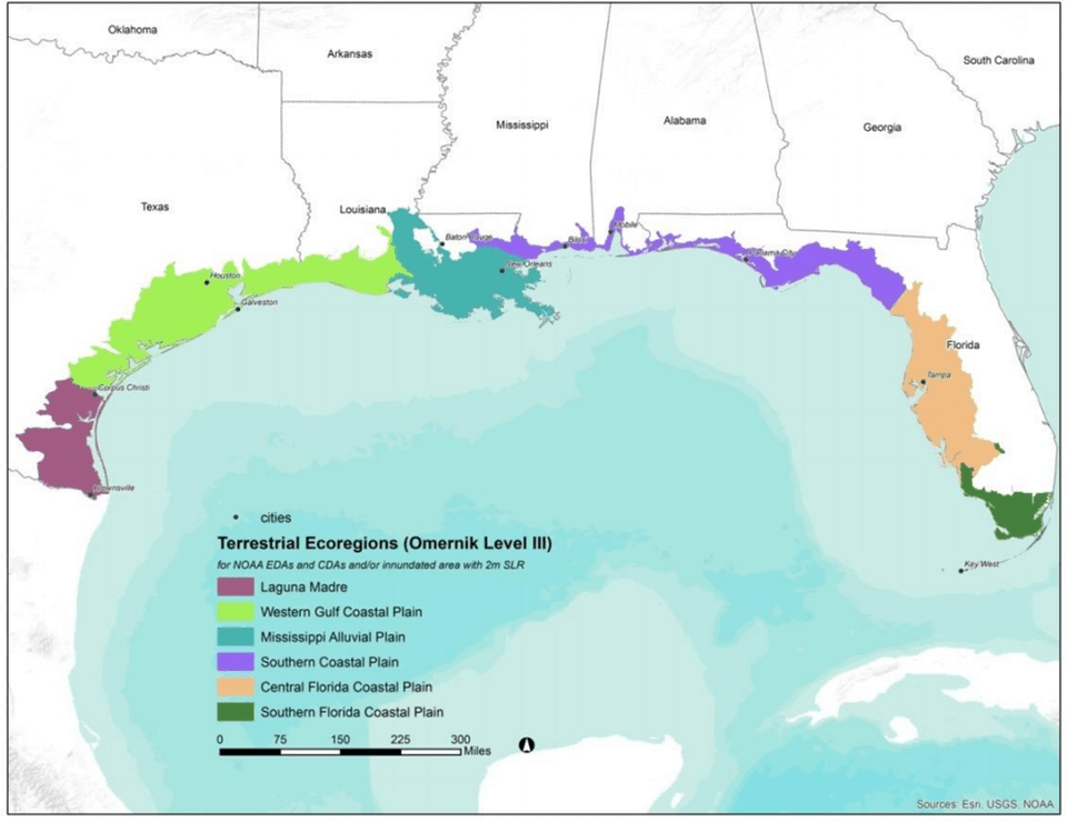 Gulf coast Vulnerability Assessment ecoregions map