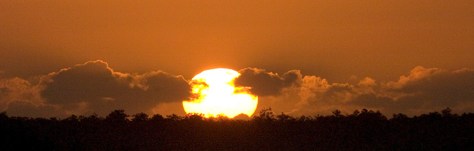 Everglades sunrise