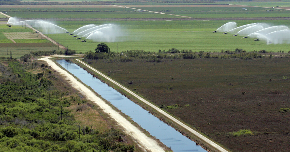 Everglades canal and irrigation