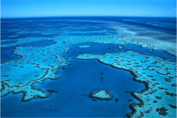 Coral reefs