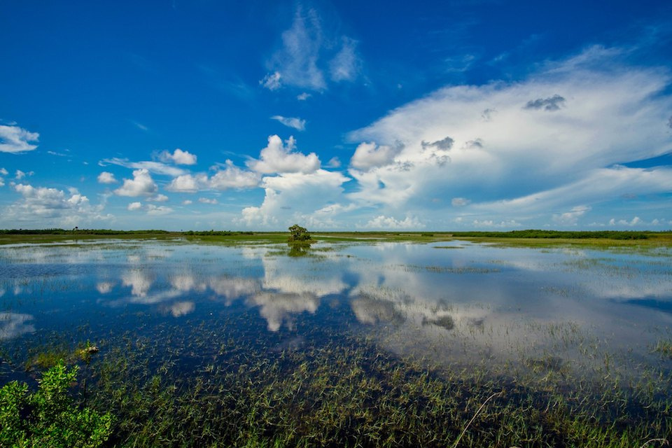 Big Cypress National Preserve