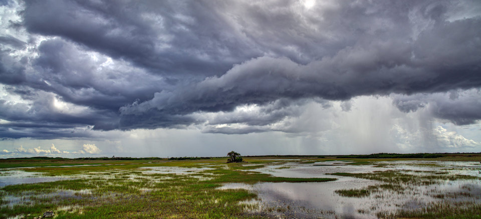 Big Cypress National Preserve