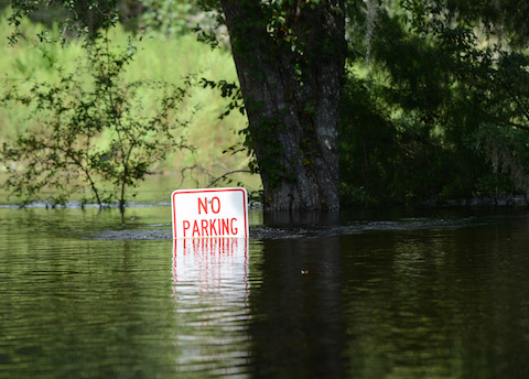 Photo: Tim Donovan, FWC.