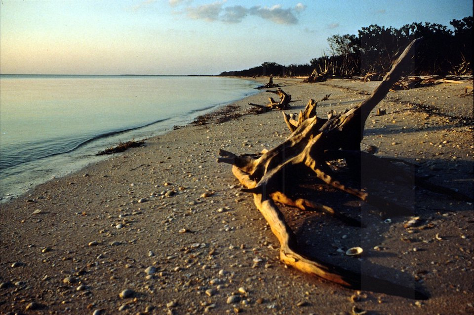 Coastal Ecosystems