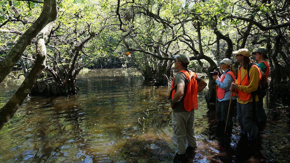 Big Cypress National Preserve