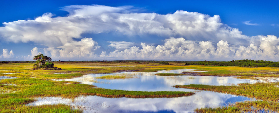 Big Cypress National Preserve