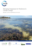 resources iucn seagrasses