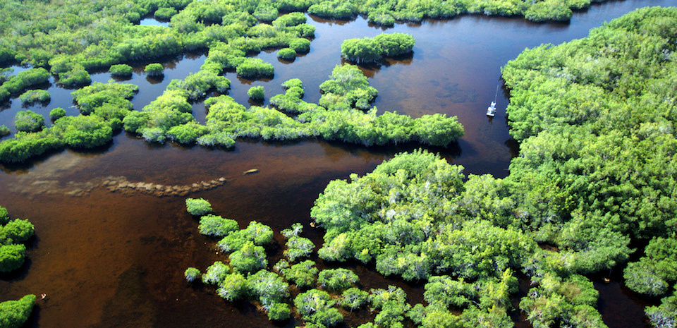 Taylor River, Florida